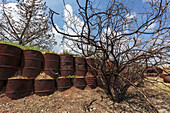 Wall Of Rusty Metal Barrels At The Site Of An Old Syrian Army Bunker; Golan Heights, Israel