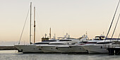 A Row Of Yachts Moored In A Harbour; Ischia, Italy