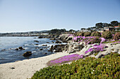 Häuser an der Küste von Kalifornien; Monterey, Kalifornien, Vereinigte Staaten Von Amerika