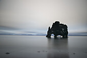 The Sea Stack Known As Hvitserkur In Northern Iceland; Iceland