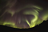 Nordlicht, oder Aurora Borealis, leuchtendes Rot und Grün über der Silhouette der Landschaft; Island