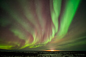 Nordlichtbänder am dunklen Manitoba-Himmel in der Nähe von Churchill; Manitoba, Kanada