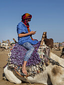 Tourist Ready For A Beach Camel Trek; Essaouira, Morocco