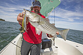 Ein Mann steht in einem Boot und hält einen großen Fisch an der Atlantikküste; Cape Cod, Massachusetts, Vereinigte Staaten von Amerika
