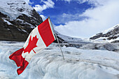 Athabasca-Gletscher und kanadische Flagge vor den Columbia Icefields, Jasper National Park; Alberta, Kanada