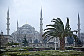 Die Blaue Moschee im Winter Ein Wintersturm; Istanbul, Türkei
