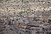 Traditionelles Dorf in den Jabal Akhdar Bergen