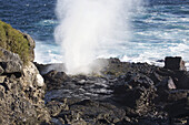 Gischt aus einem Blasloch an der felsigen Küste der Galapagos-Insel