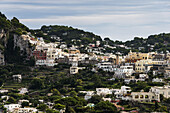 Eine Hafenstadt mit bunten Gebäuden auf der Insel Capri; Marina Grande, Capri, Italien