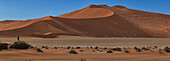 Man Photographing The Red Sand Dunes Of Sossusvlei; Namibia