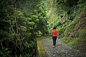 Young Woman Trekking In Faial Da Terra; Sao Miguel, Azores, Portugal