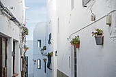 Weiße Häuser in einer Straße in der Innenstadt von Mojacar; Mojacar, Almeria, Spanien