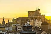 Schöner Blick auf die Kathedrale von Granada bei Sonnenuntergang; Granada, Andalusien, Spanien