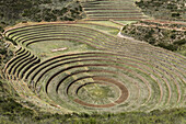 Circular Terraces Of Moray, Town Of Maras In Sacred Valley Of Peru; Moray, Cusco, Peru