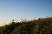 Hohes Gras wächst in der Nähe des North Head Lighthouse an der Südküste Washingtons; Ilwaco, Washington, Vereinigte Staaten von Amerika