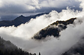 Wolken in den bewaldeten Tälern zwischen Mestia und Ushguli, Obersvaneti; Samegrelo-Zemo Svaneti, Georgien