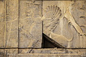 Bas-Relief eines Lamassu (geflügelter Löwe) auf der Osttreppe der Apadana oder der Audienzhalle von Darius I., Persepolis; Provinz Fars, Iran