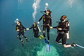 Scuba divers in Roatan Marine Park, West End Wall dive site; Roatan, Honduras