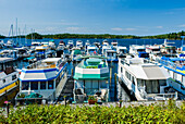 Nordhafen, Lake of the Woods in der Nähe von Kenora, Nordwest-Ontario; Ontario, Kanada