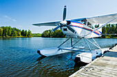 Float plane dock, Lake of the Woods near Nestor Falls, Northwestern Ontario; Ontario, Canada
