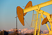 Close-up of pumpjacks with the warm light at sunrise, snow-covered mountains and blue sky in the background, West of Airdrie; Alberta, Canada