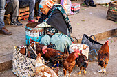 Eritreische Frau verkauft Hühner auf dem Markt der Eingeborenen; Asmara, Zentralregion, Eritrea