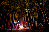 Friends playing with lights in a forest at night; Meopham, Kent, England