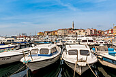 Hafen von Rovinj mit seinen malerischen Fassaden im venezianischen Stil; Rovinj, Kroatien