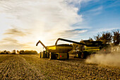 Blick von hinten auf die Rapsernte und das Umladen der Samen in einen von einem Traktor gezogenen Getreidewagen; Legal, Alberta, Kanada