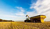 A tractor with a grain cart waiting for the next load from a canola harvest; Legal, Alberta, Canada