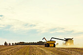 Offloading a harvested canola crop with an auger into a grain wagon; Legal, Alberta, Canada