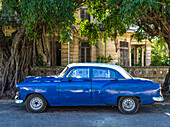 Blue vintage car parked on the street outside a house; Havana, Cuba
