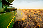 Looking back on a combine while harvesting canola at sunset; Legal, Alberta, Canada