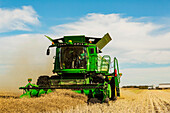 A father and son driving a combine in a field while a grain truck waits for its next load during a Canola harvest; Legal, Alberta, Canada