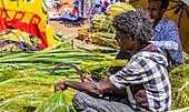 Äthiopischer Mann verkauft Gras auf dem Markt; Bahir Dar, Amhara-Region, Äthiopien