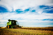 Seitenansicht eines Landwirts beim Fahren eines Mähdreschers während der Rapsernte; Legal, Alberta, Kanada