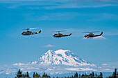 Zwei UH-1 Huey Hubschrauber und ein AH-1 Cobra fliegen in Formation mit Mount Rainier im Hintergrund, 2019 Olympic Air Show, Olympic Airport; Olympia, Washington, Vereinigte Staaten von Amerika
