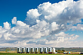 A row of large metal grain bins with dramatic storm clouds and blue sky in the background, West of Calgary; Alberta, Canada