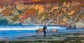 Surfer geht mit Surfbrett am Dillon Beach spazieren; Kalifornien, Vereinigte Staaten von Amerika