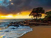 Sonnenaufgang über Treibholz und Felsen an einer hawaiianischen Küste; Kauai, Hawaii, Vereinigte Staaten von Amerika