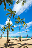 Palm trees and a sunny day on Kahanamoku Beach; Oahu, Hawaii, United States of America