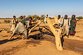 Nomaden und ihre Tiere holen Wasser aus dem alten Brunnen, der 1905 gebaut wurde; Naqa, Nordstaat, Sudan