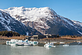 Portage Visitor Center shows behind icebergs that have broken off the Portage Glacier and floated across Portage Lake, South-central Alaska; Alaska, United States of America