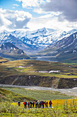 A Park Ranger leads a tour of visitors on a nature hike near the Eielson Visitor Center, Denali National Park and Preserve, Interior Alaska; Alberta, Canada