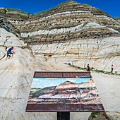 Touristen auf dem Hoodoos Trail in den kanadischen Badlands. Jeder Hoodoo ist eine Sandsteinsäule, die auf einem dicken Sockel aus Schiefergestein ruht, der von einem großen Stein überragt wird; Drumheller, Alberta, Kanada