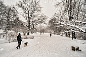 Pedestrians and a dog walk on the snow-covered path during a snowfall in Central Park; New York City, New York, United States of America