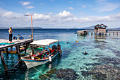 Pier over the coral reef; Arborek, West Papua, Indonesia