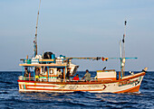 Sri Lankan fishermen pull their net over the side of thier boat out in open ocean; Sri Lanka
