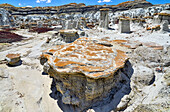 Unique and patterned rock surfaces, Bisti Badlands, Bisti/De-Na-Zin Wilderness, San Juan County; New Mexico, United States of America