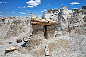 Rock formations and petrified wood, Bisti Badlands, Bisti/De-Na-Zin Wilderness, San Juan County; New Mexico, United States of America